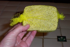 Sponge-in-bag
