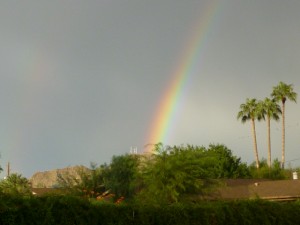 Rainbow2010