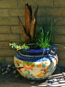 Fake agave and friends