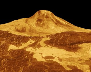 Garden spot on Venus