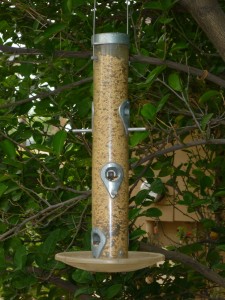 seedfeeder
