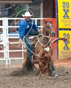 calf_roping_szmurlo