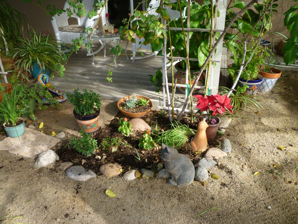 compostedgardendecember2016