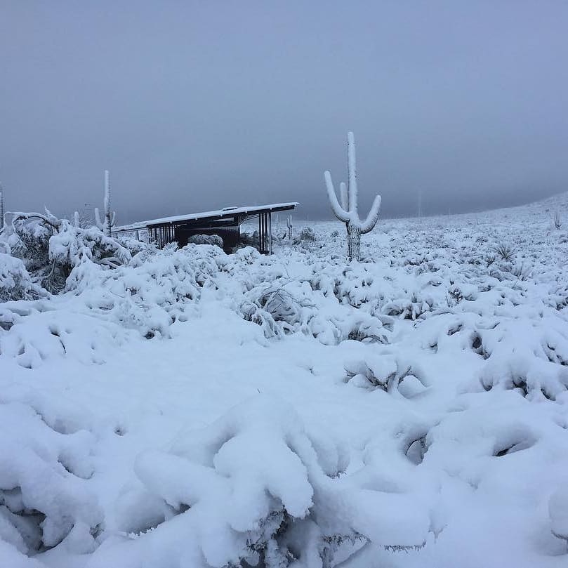 Cold, Colds, and SNOW IN SCOTTSDALE Funny about Money