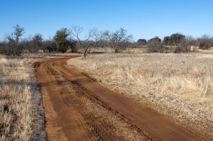 Dirt road in the Texas boondocks